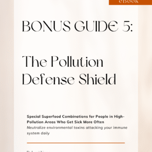 Optional Bonus Guide 5 - The Pollution Defense Shield